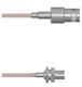 Amphenol Custom Cable Q-030040005006i