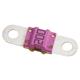 Littelfuse 153.5631.5502