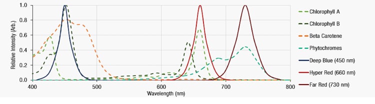 Würth Elektronik Horticulture LEDs
