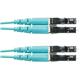 Panduit FX2ERLNLNSNM033