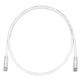 Panduit UTPSP10MY