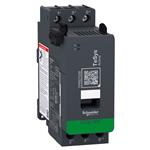 Imagen ampliada de Schneider Electric TPRST038